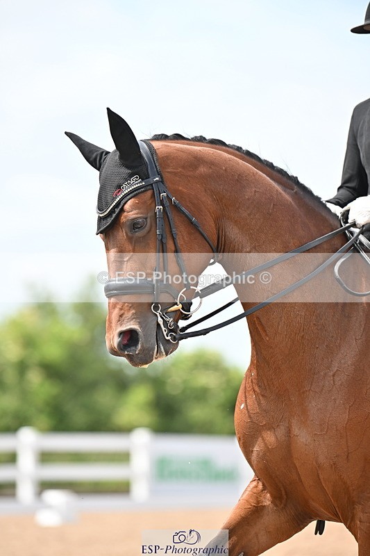 240621A-150657-04633 - Cls 13 BD Adv Medium 91