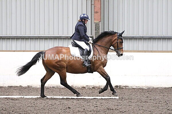 SIAL5309 - CAbin Dressage 5th july 2025