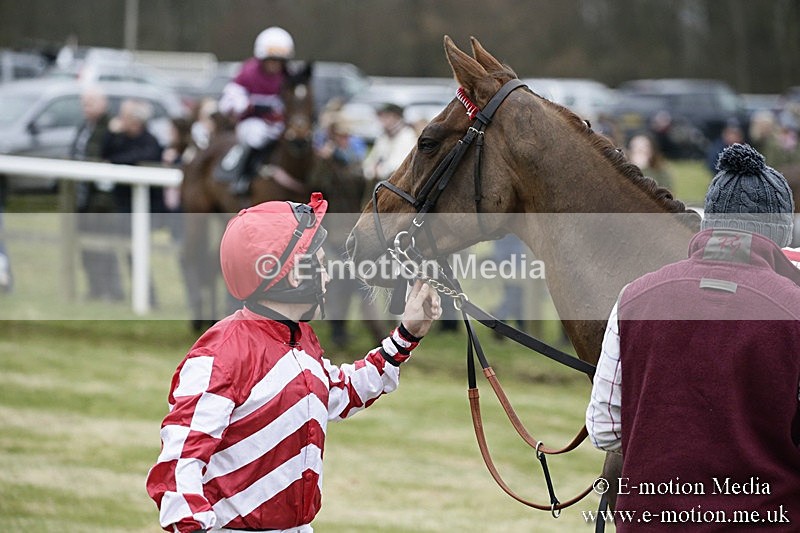 PtP 110318 21 - Hampshire Hunt Point-to-Point Hackwood Park 11/03/18