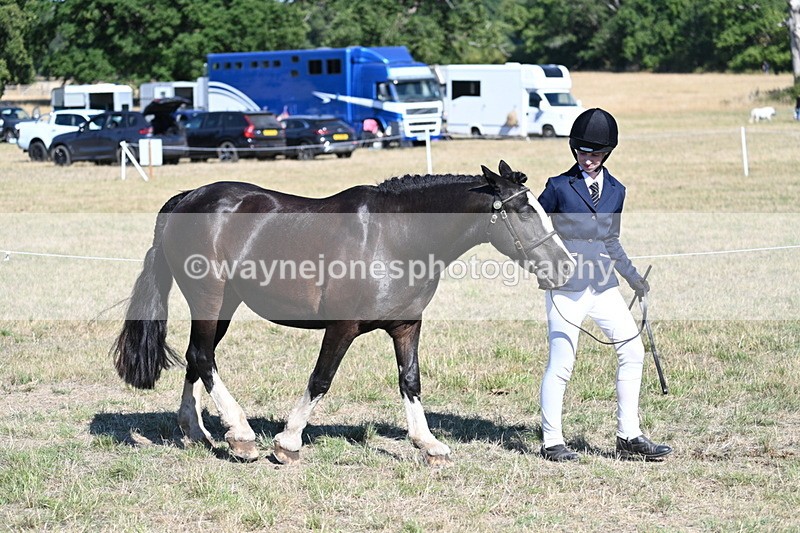 WJ7_2018 - Class 44 Child's Best Friend