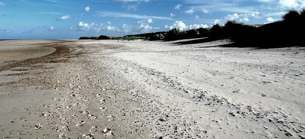 Holkham 8 - Beachscapes