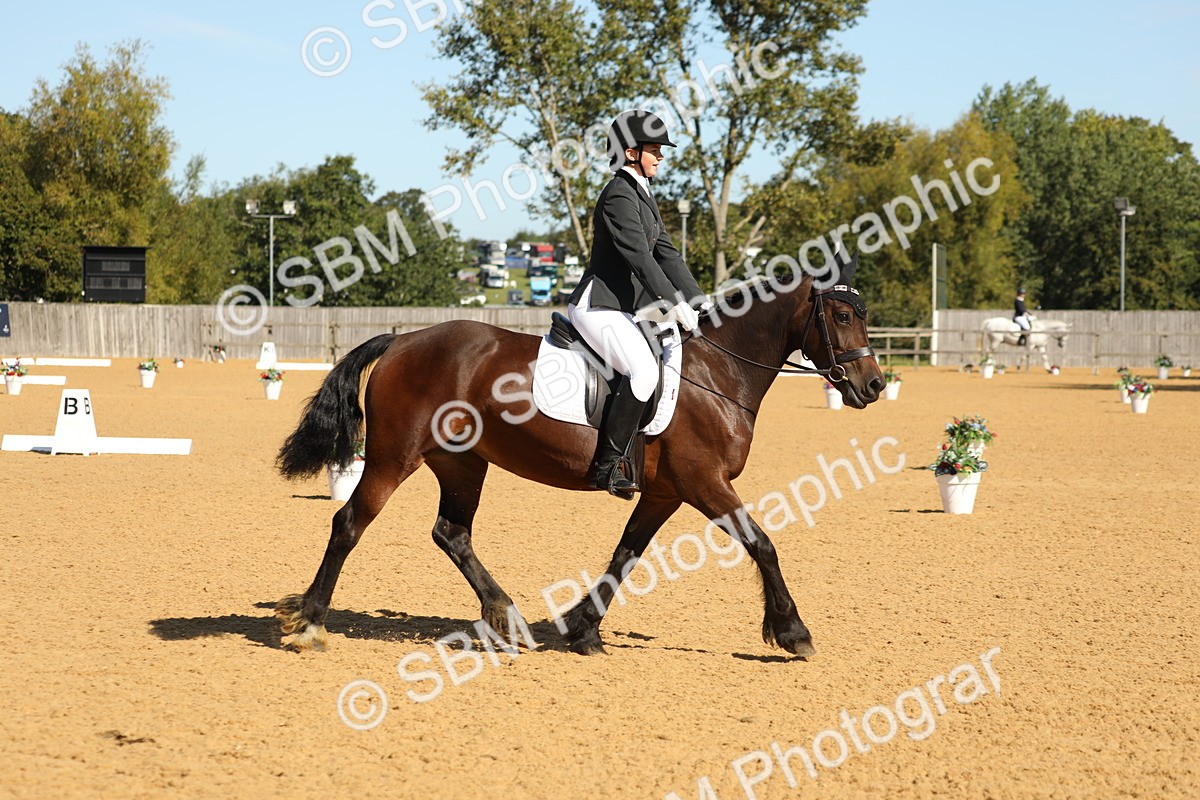 SBM_18796 - D10 - Small Tour Championship - Prelim 2