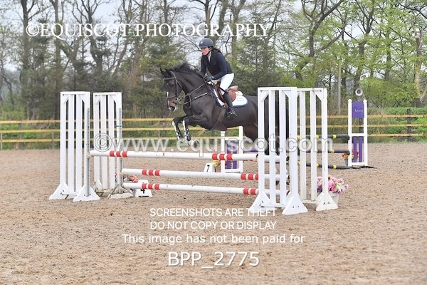 BPP_2775 - CLASS 4 Senior British Novice/ 90cm Open