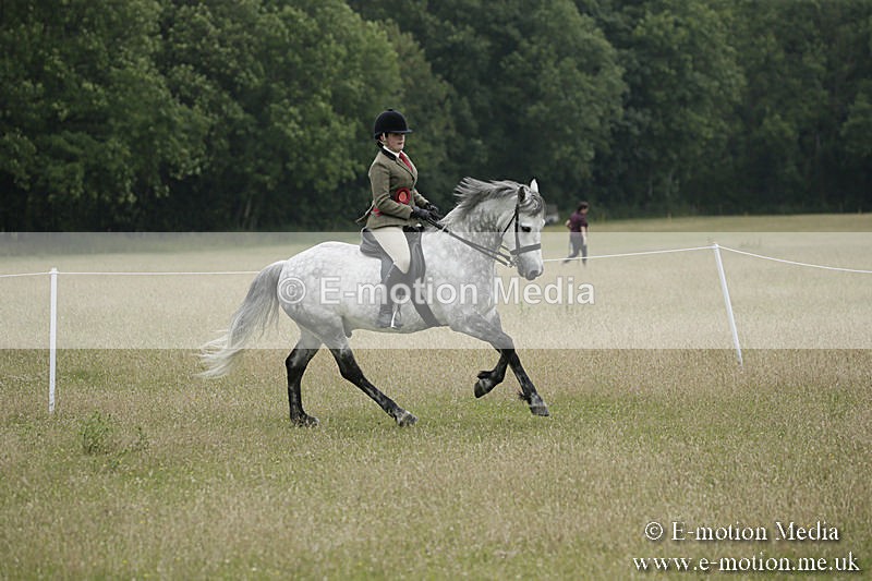 B230619-0933 - Bourne Valley Riding Club Summer Show 23/06/19