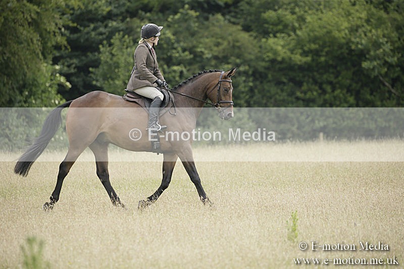 B230619-0414 - Bourne Valley Riding Club Summer Show 23/06/19