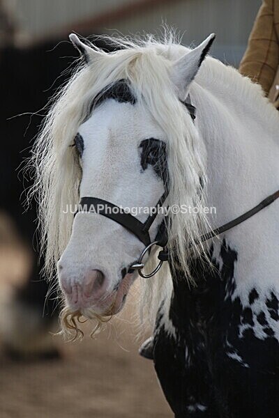 SIAL0904 - Indoor Classes