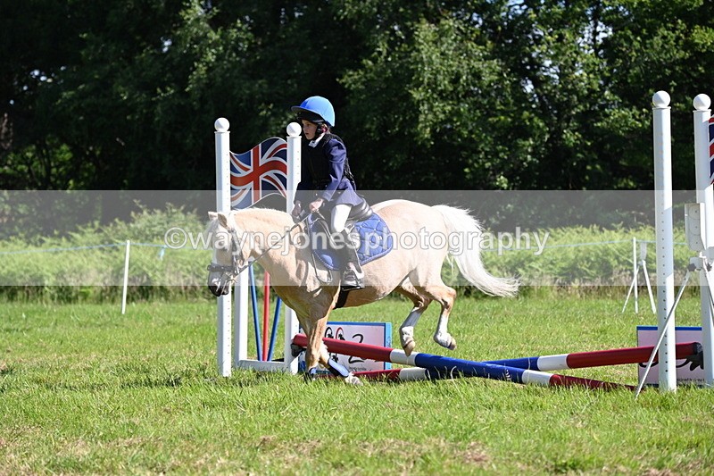 WJ6_3512 - Class 1 Tiny Cross Poles