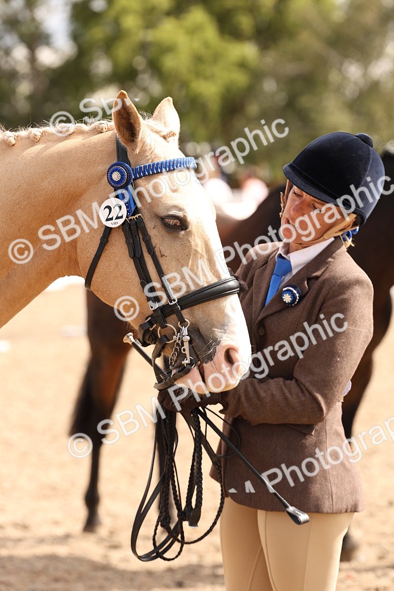 SBM_14716 - Class 208 - IH Veteran Horse