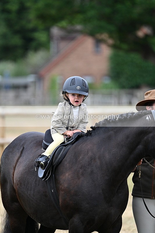 WJ7_9726 - Class 1 Lead Rein Pony