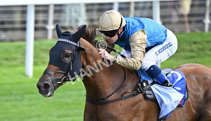 220826-012 Archivist - Race 1 13.50pm Sky Bet Strensall Stakes