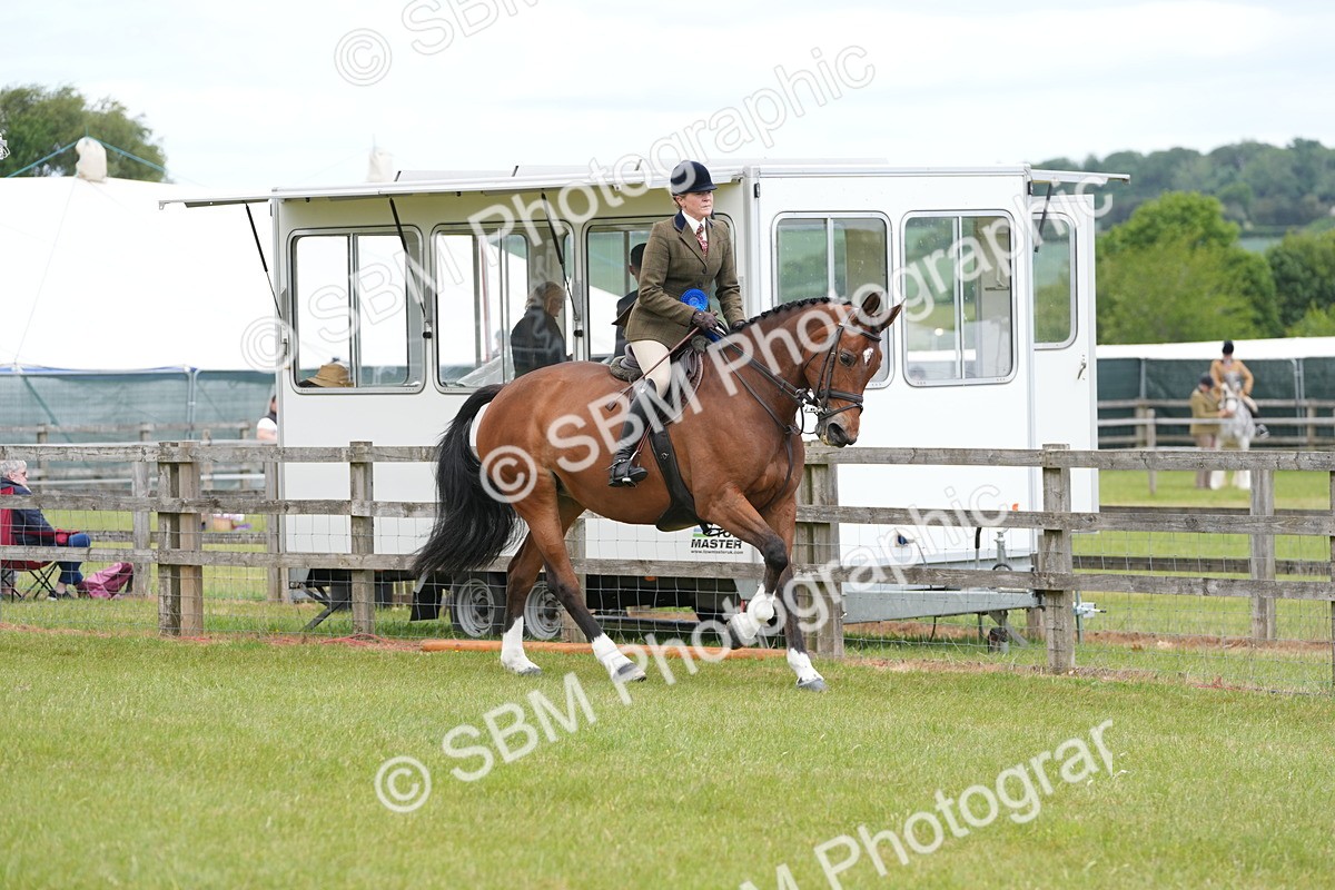 SBM_00007 - Class 100-102 - RIHS Working Hunter