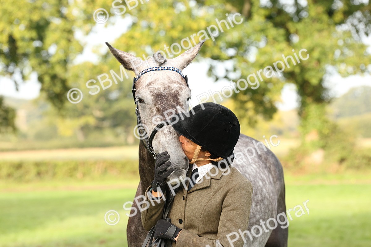 SBM_55001 - S52 - Riding Horse & Hack & thoroughbred In Hand