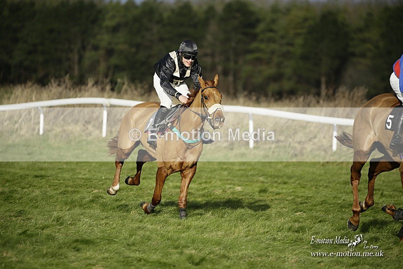 PtP 281121 0134 - Hursley Hambledon Point-to-Point Larkhill 28/11/21