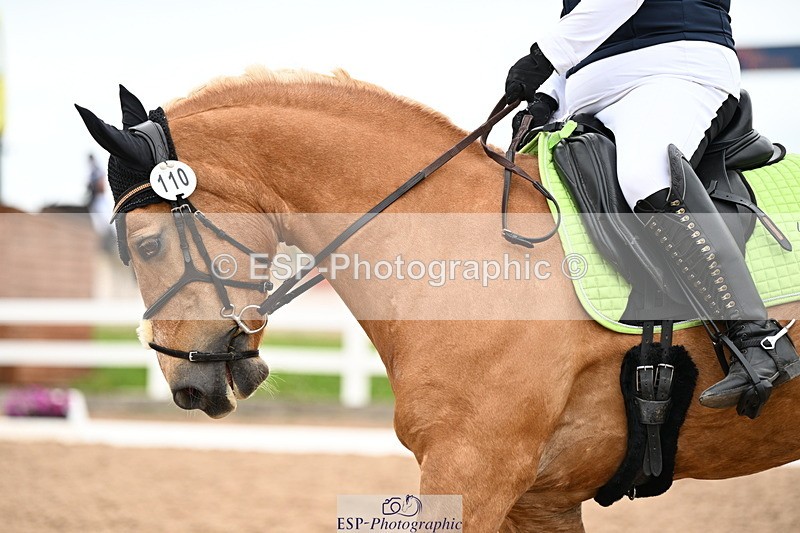 240623A-112538-17667 - Cls 29+30 Quest Prelim 12