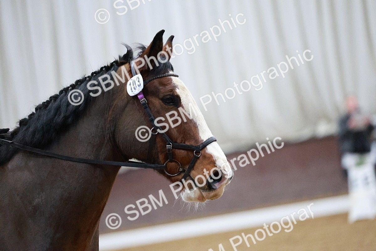 SBM_000139 - Class 17-6-18 - TQ U21 Novice 3Novice 3-MQ Open Prelim 1