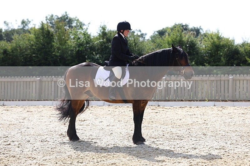 3E7A3175 - Class 1: Intro 1 2024 Section A