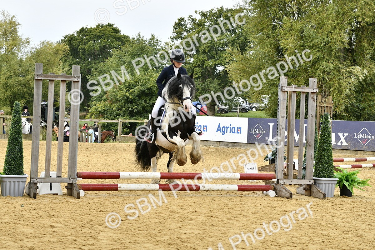 SBM_57236 - J61 - Mini Clear Round 30cm & 40cm