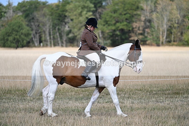 WJ7_6714 - Class 14 Ridden Coloured