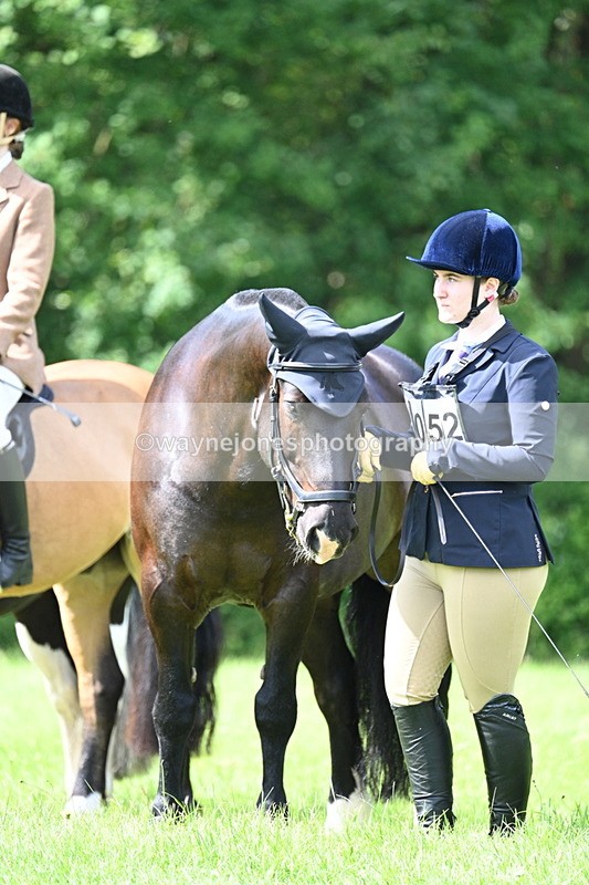 WJ7_1389 - Class 11 Condition & Turnout