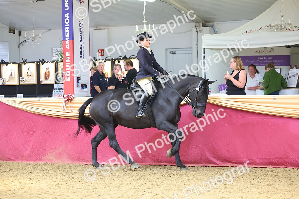 SBM_23904 - Class 905 - Supreme Final - Ridden Veteran