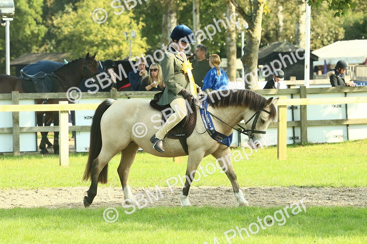 SBM_61074 - Starter Supreme Championship