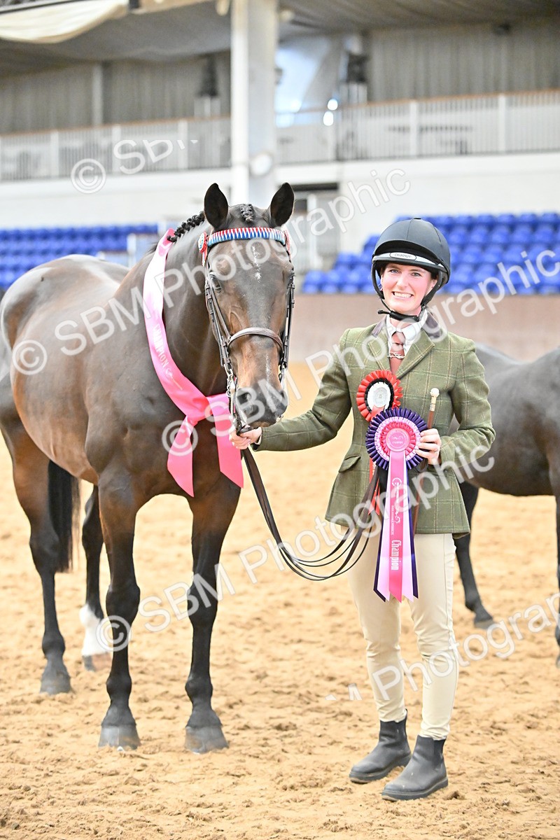 SBM_000746 - Class 14 - SSADL In Hand Championships