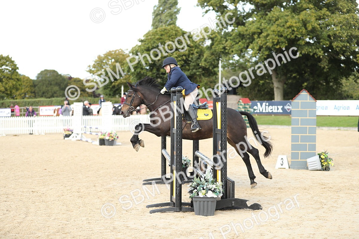 SBM_09959 - J36 - Veteran Rider 70cm