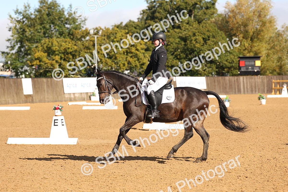 SBM_37567 - D18 - Grand Tour Championship Novice 2
