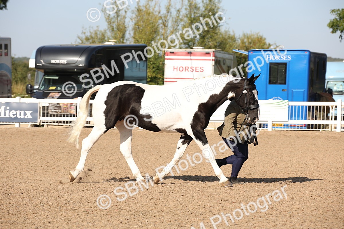 SBM_01443 - Class 15 IH Coloured