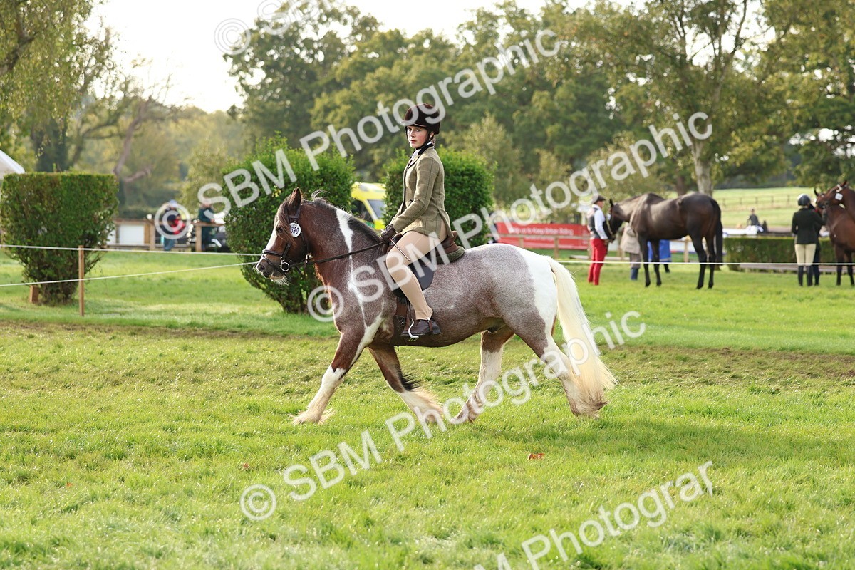 SBM_56614 - S40 - Starters Ridden Showing