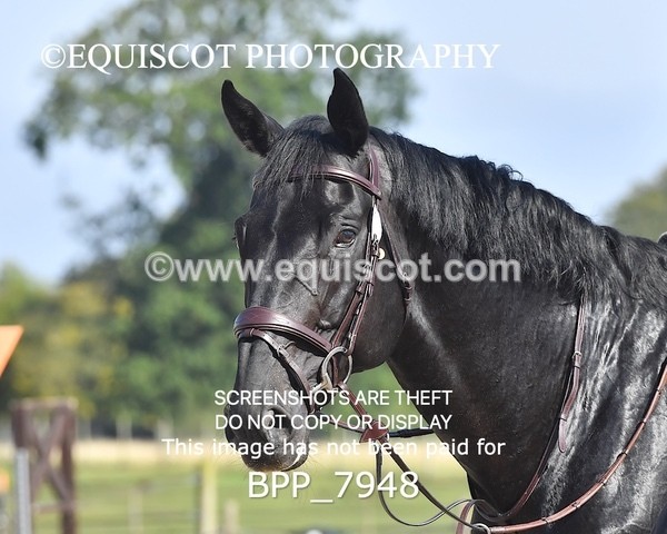 BPP_7948 - CLASS 3 Senior BritiNovice/ 90cm Open