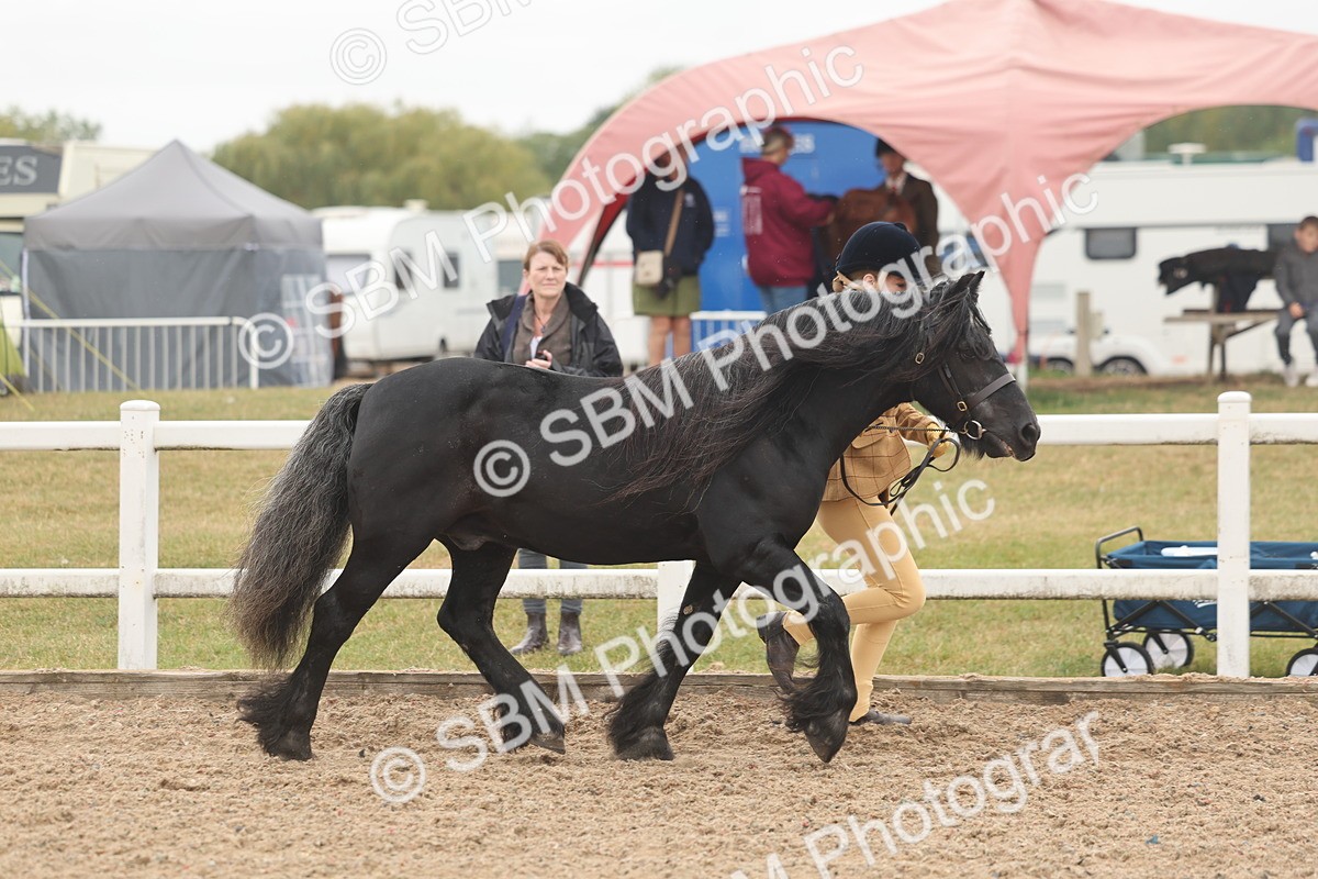 SBM_00482 - Class 13 Young Handler