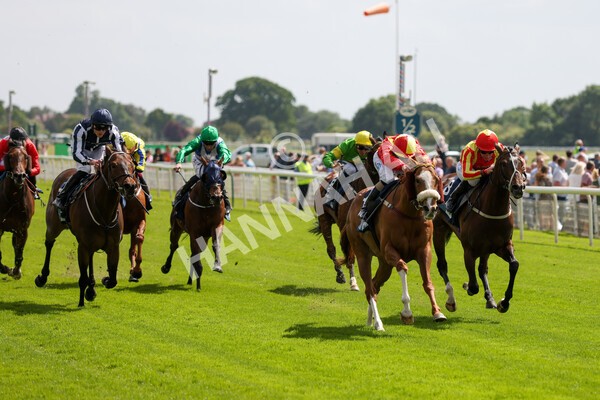 yr10062022r3-36 - Race 3 3.00pm British EBF supporting Racing with Pride Fillies' Handicap