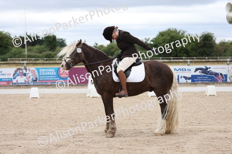 20250706-0154 - Class 13 - Prelim 5