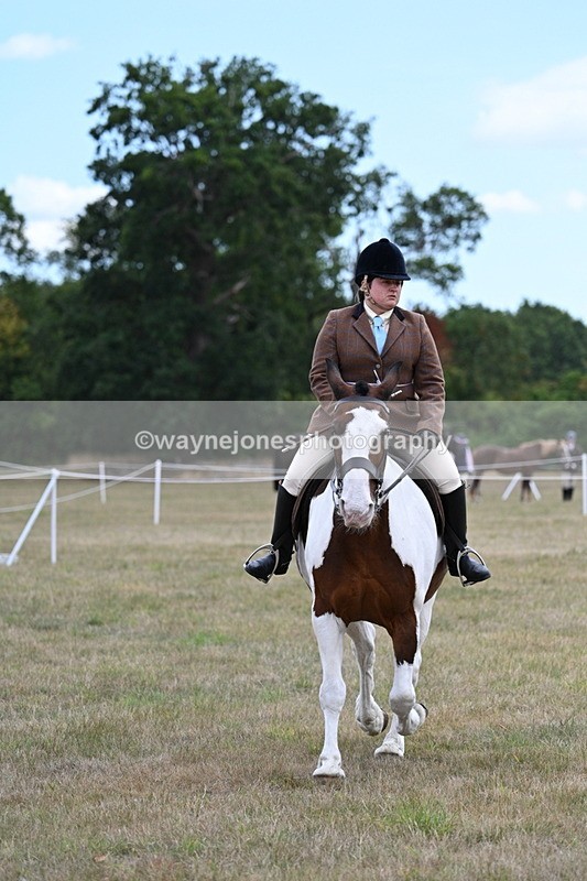 WJ7_5312 - Class 12 Ridden Cob