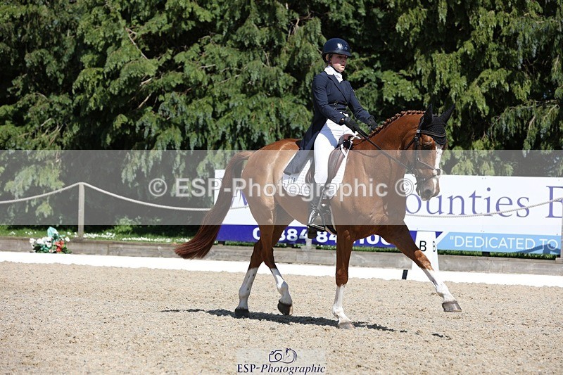 230526-150711-06634 - 378-CLASS_SPEC-Susie_Eddis-WEDTrotUp+DR