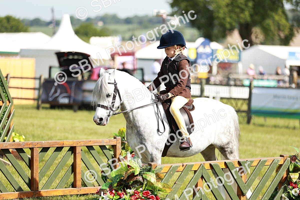 SBM_12782 - Class 106-107 - BSPS LIHS Working Sports Pony