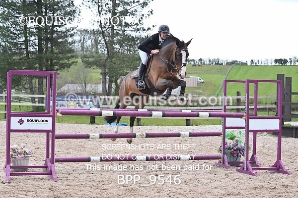 BPP_9546 - CLASS 6 Senior Foxhunter/ 1.20m Open