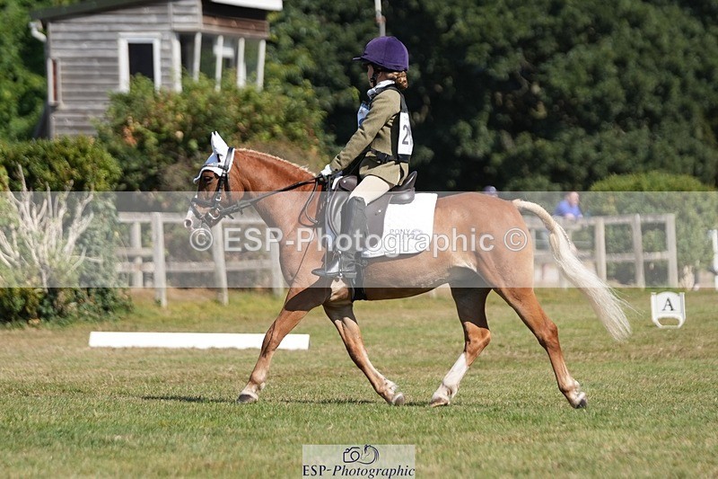 250823A-104838-28122 - Arena A