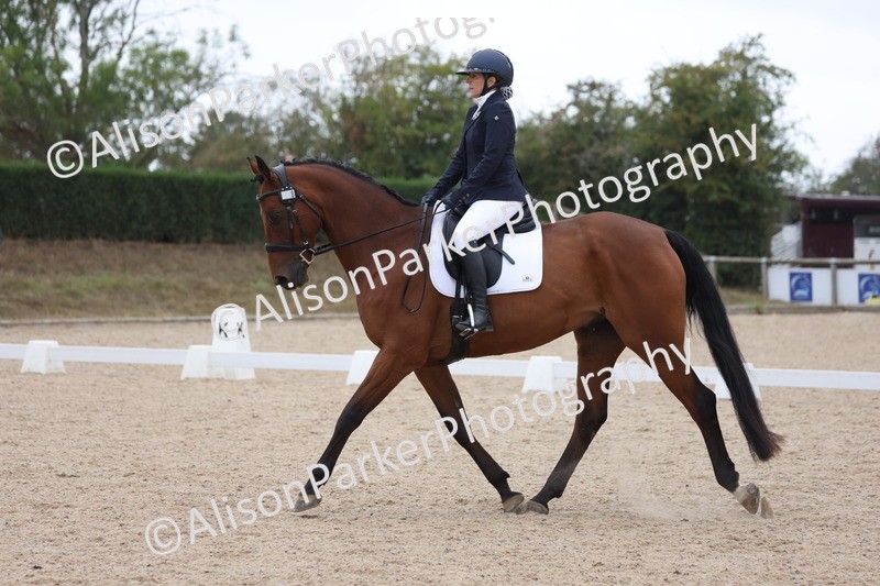 20250820-0374 - Class 11 - My Quest Novice 3