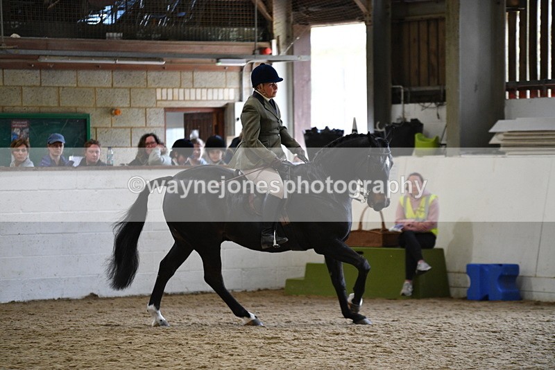 WJ5_6102 - Class 9 Ridden Veteran