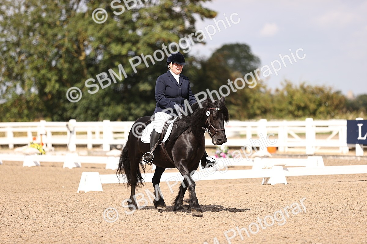 SBM_03687 - CLass 35 Intro 3