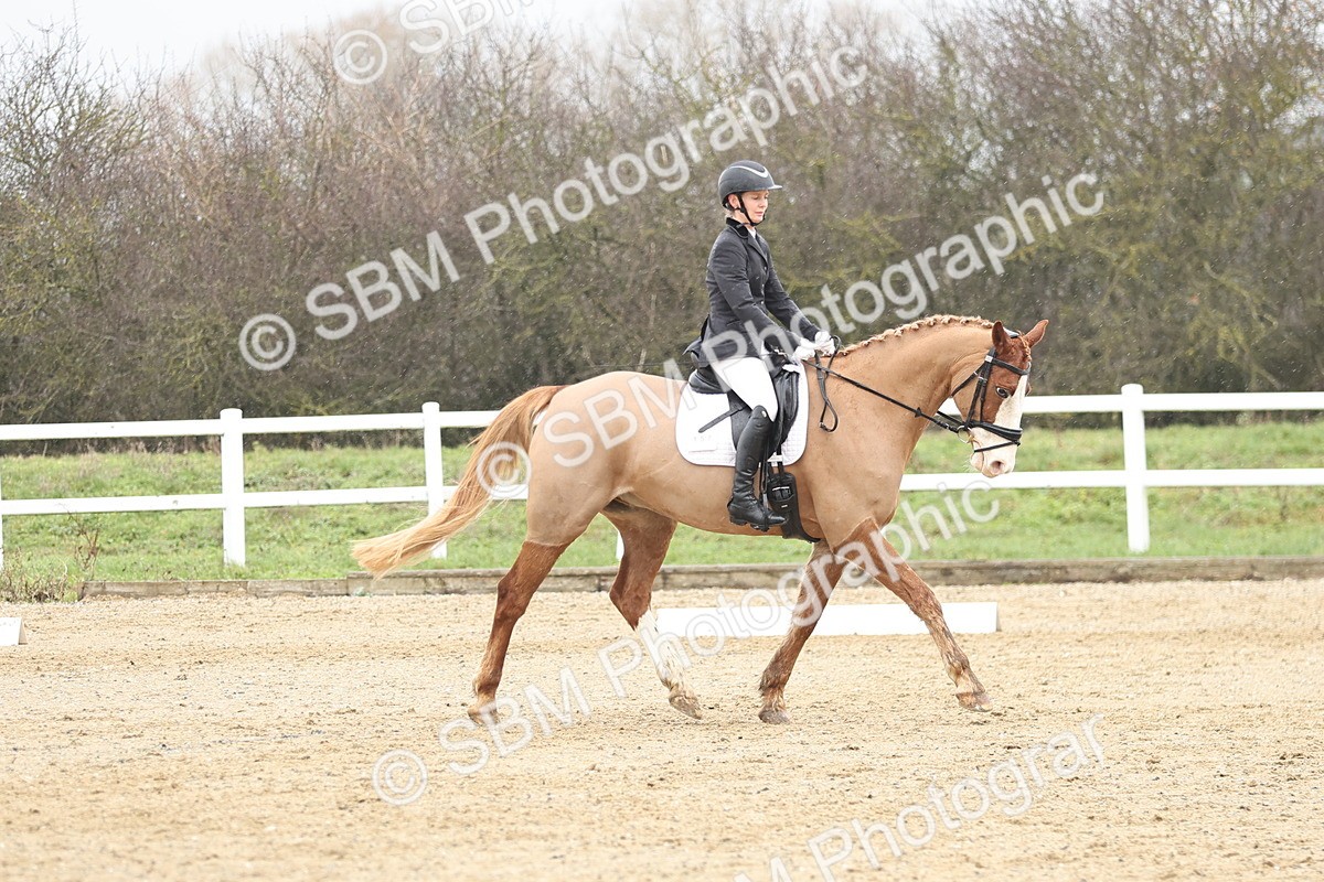 SBM_004251 - Novice 1