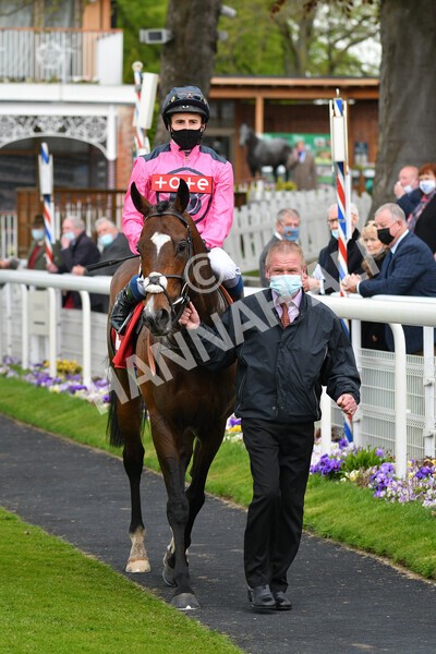 yr14052021r4-39 - Race 4 3.10pm The Matchbook Yorkshire Cup