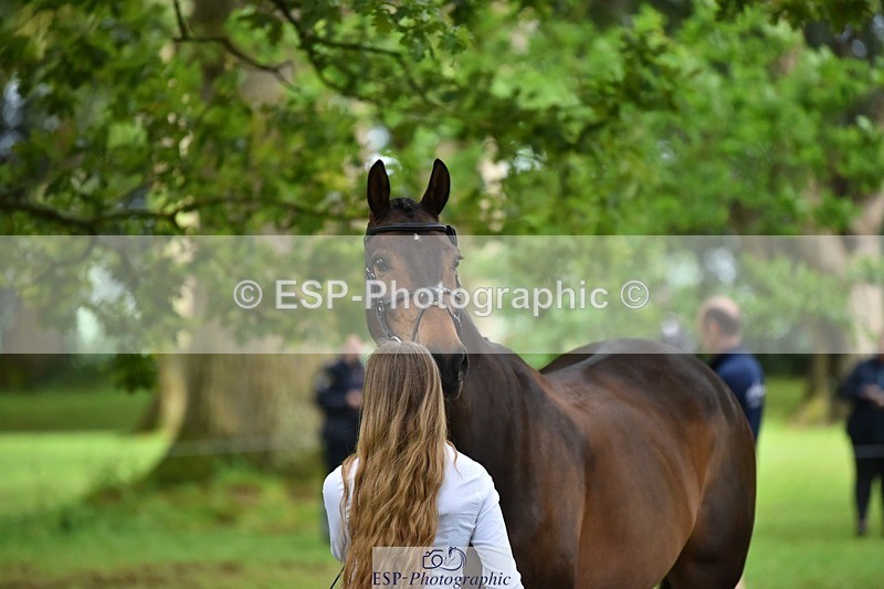 240522-171656-01502 - 259-METROPOLITAN_CLOVER-Megan_Brown