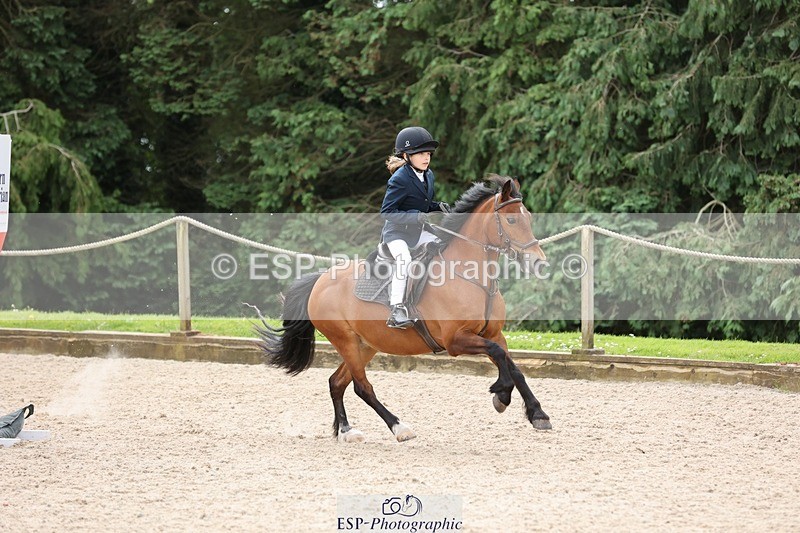 240616-104437-03153 - 60cm