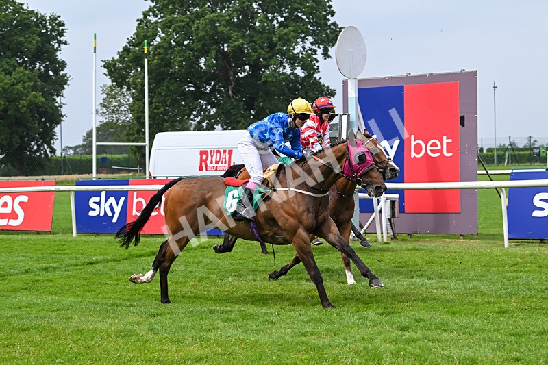 250725-Graham Lee IJF Stable Staff Stakes-E-3902 - The Graham Lee IJF Fund Stable Staff Stakes