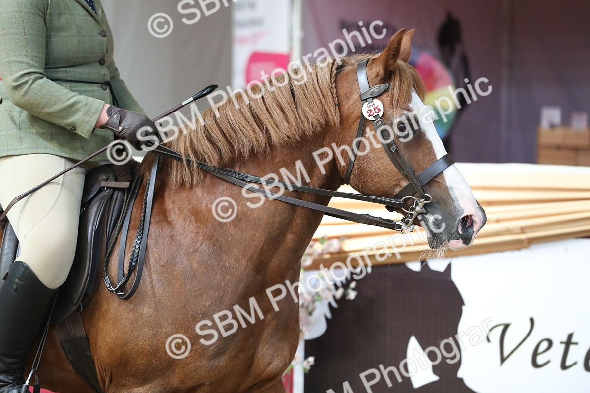 SBM_01938 - Class 4a Area Ridden Diamond