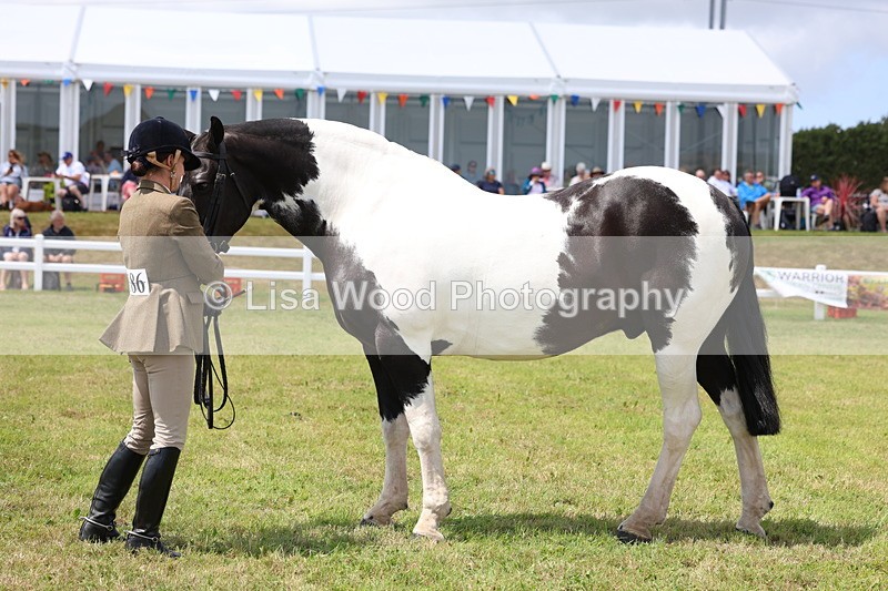 3E7A2101 - Class 10: Open Cob