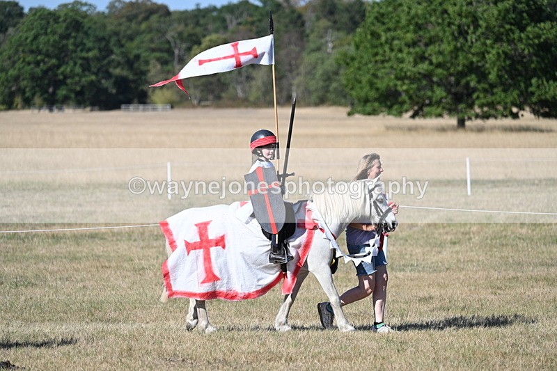 WJ7_2779 - Class 45 Fancy Dress (My Fav)